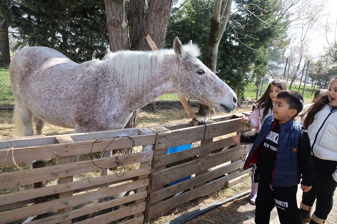 Ara Tatilde 230 Çocuk Binicilikle Tanıştı (1)