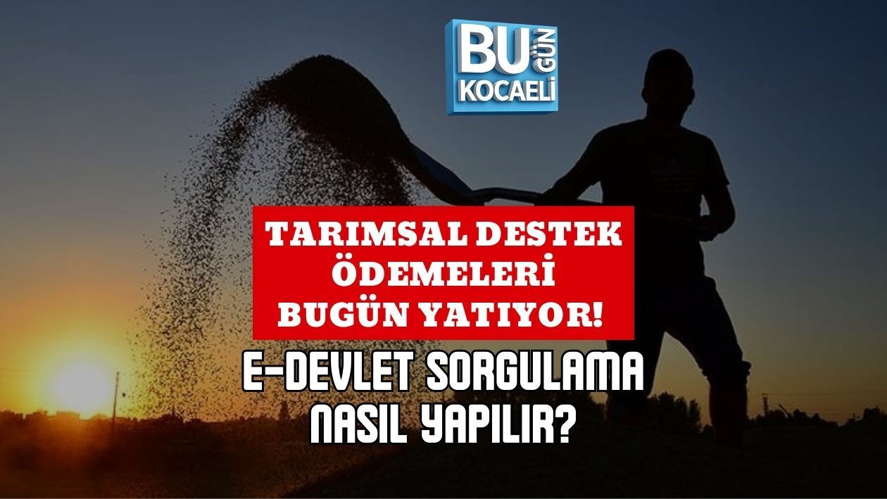 TARIMSAL DESTEK ÖDEMELERİ BUGÜN YATIYOR! E-DEVLET SORGULAMA NASIL YAPILIR?