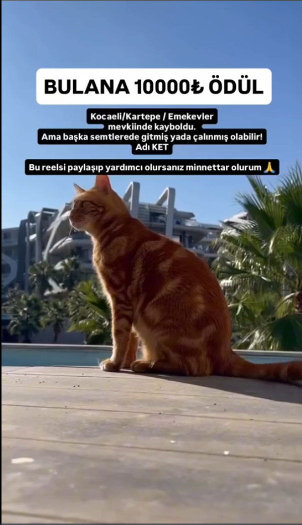 Ekran Görüntüsü 2026 03 22 175851