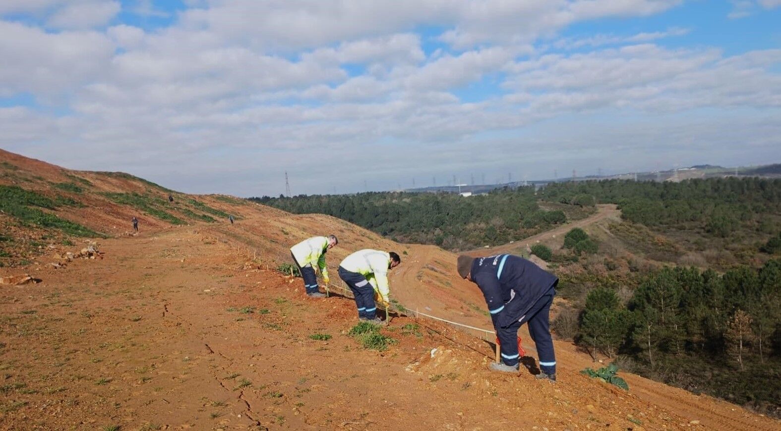 Gebze'de 4 Bin 500 Sedir Ağacı Toprakla Buluştu (1) (1)