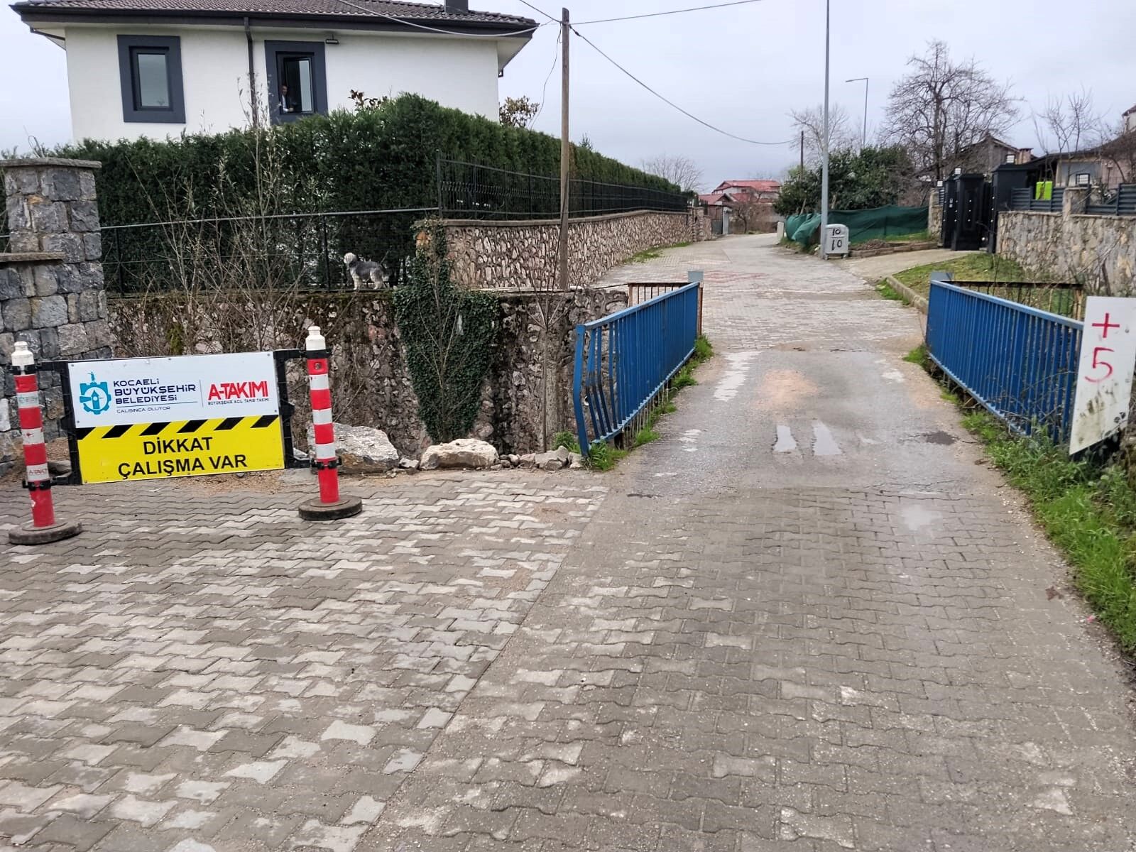 Kartepe Ilçesi Maşukiye Mahallesi (1)