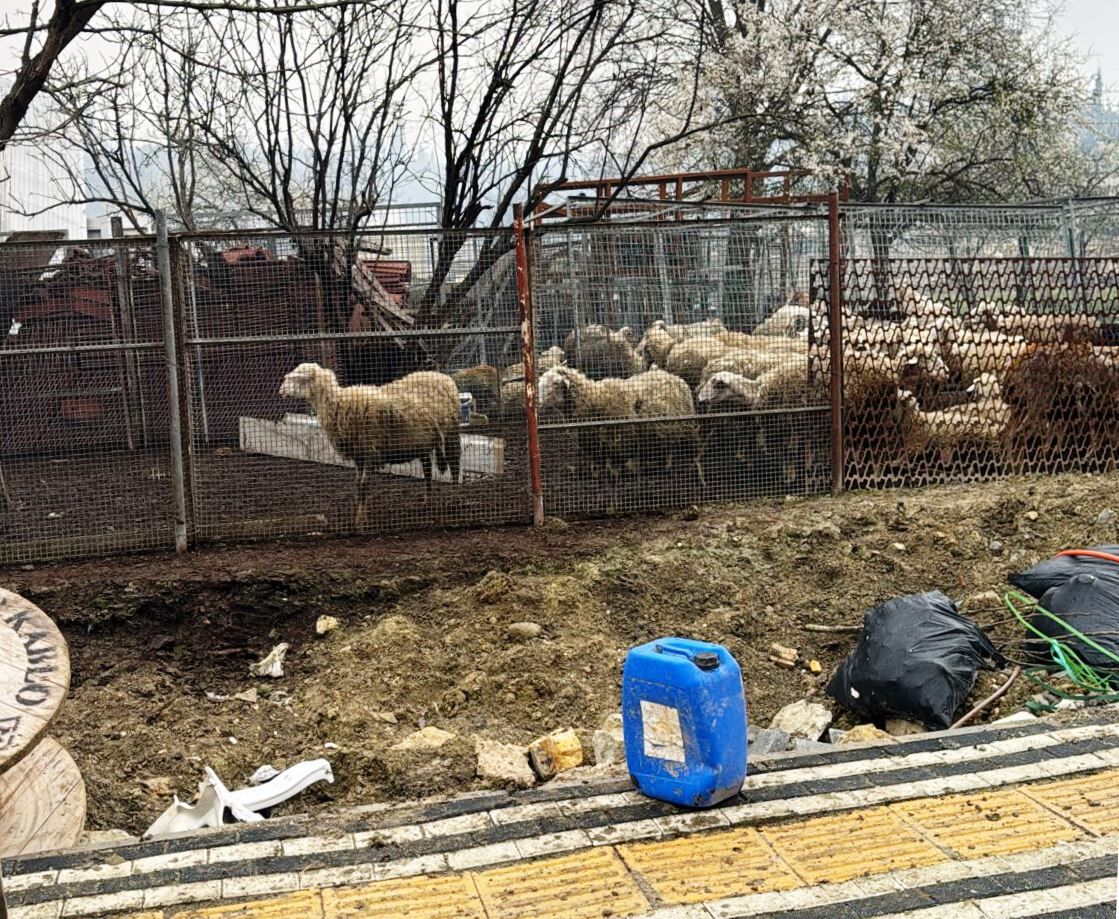 Kocaeli Dilovasi Ahir Yangini 16X9.Jpg2