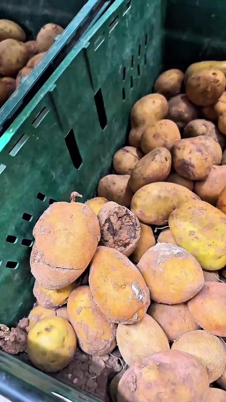 Kocaeli̇'de Market Deneti̇mi̇ Pes Dedi̇rtti̇! Çürük Mallar, Tari̇hi̇ Geçmi̇ş Ürünler Şok Etti̇ 01