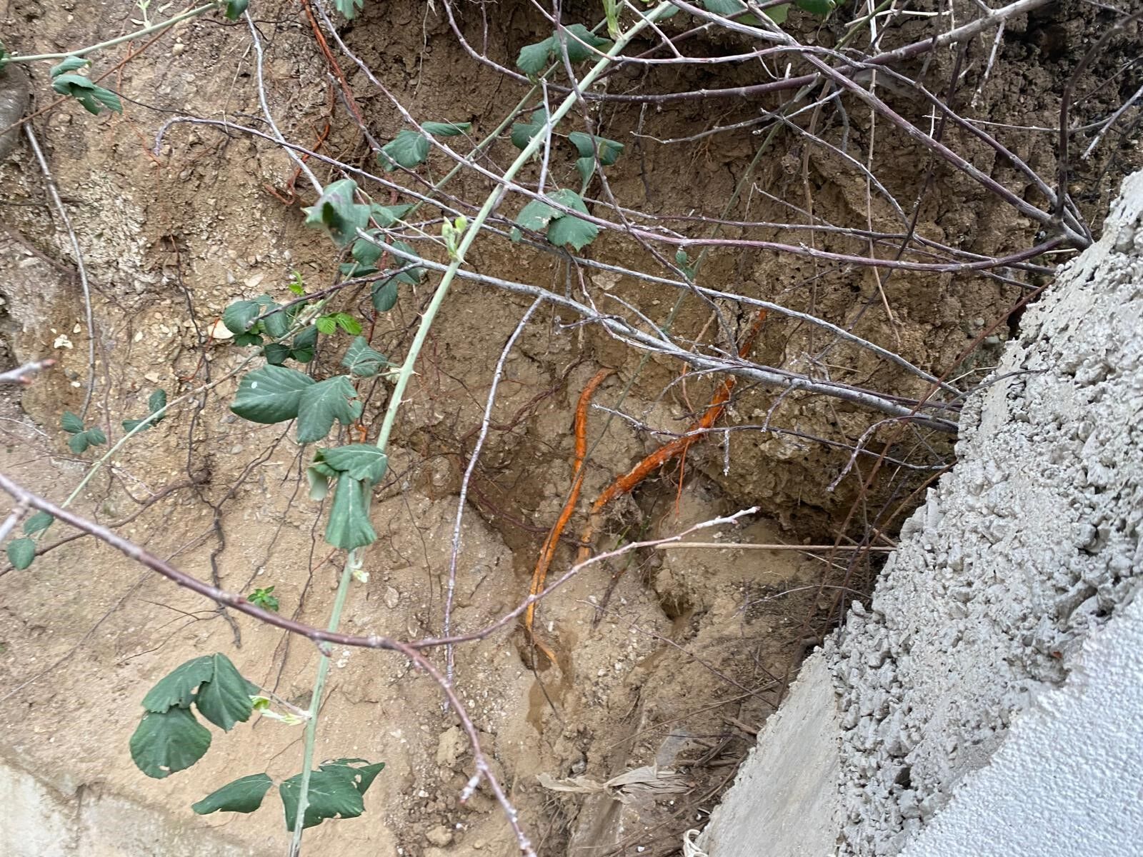 Körfez’de Si̇te Bahçesi̇nde Bulunan İnsan Kemi̇kler Mahalleyi̇ Tedi̇rgi̇n Etti̇ “İlk Başta Hayvan Kemi̇ği̇ Sandim” (6)