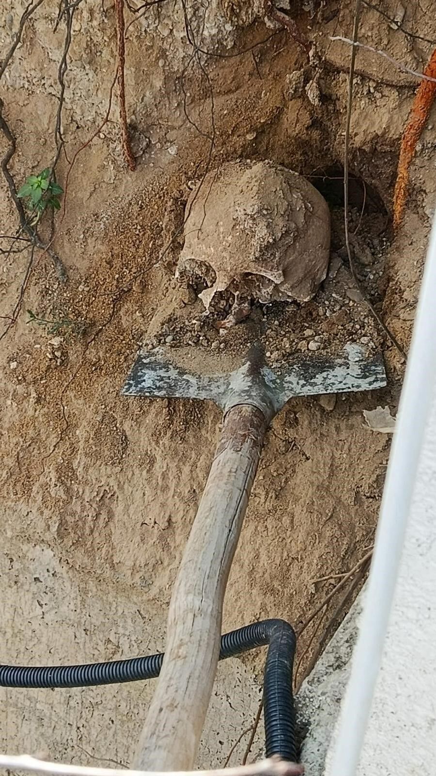 Körfez’de Si̇te Bahçesi̇nde Bulunan İnsan Kemi̇kler Mahalleyi̇ Tedi̇rgi̇n Etti̇ “İlk Başta Hayvan Kemi̇ği̇ Sandim” (7)