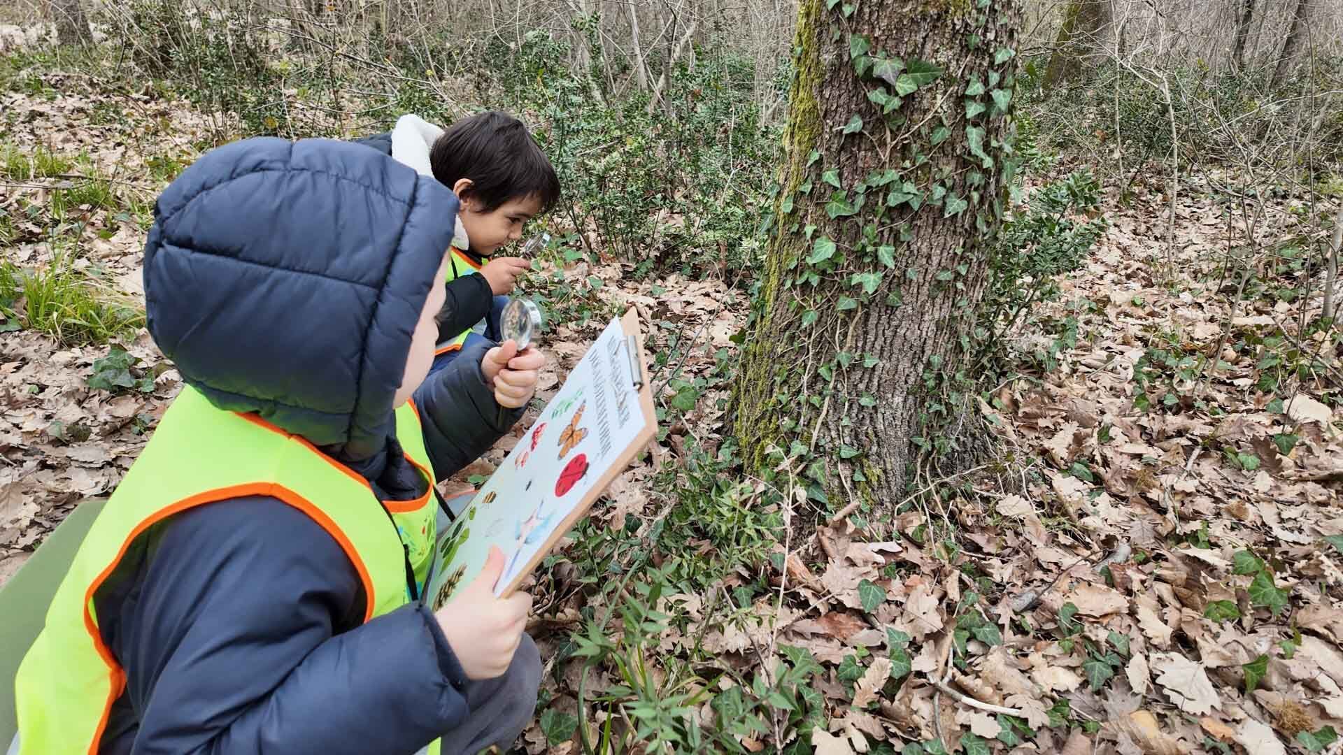Lokomotif'in Minikleri Ormanya'da Doğayı Keşfetti (10)