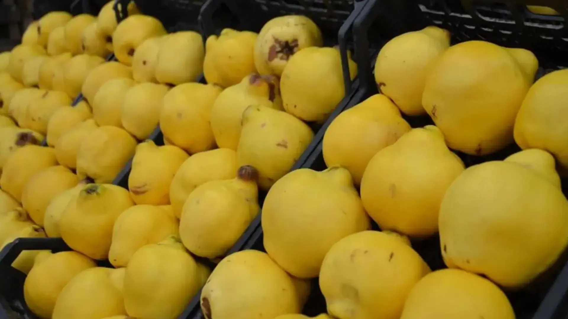 Tezgahta Görenler Şaşti! Ki̇lo Fi̇yati Dudak Uçuklatti (1)