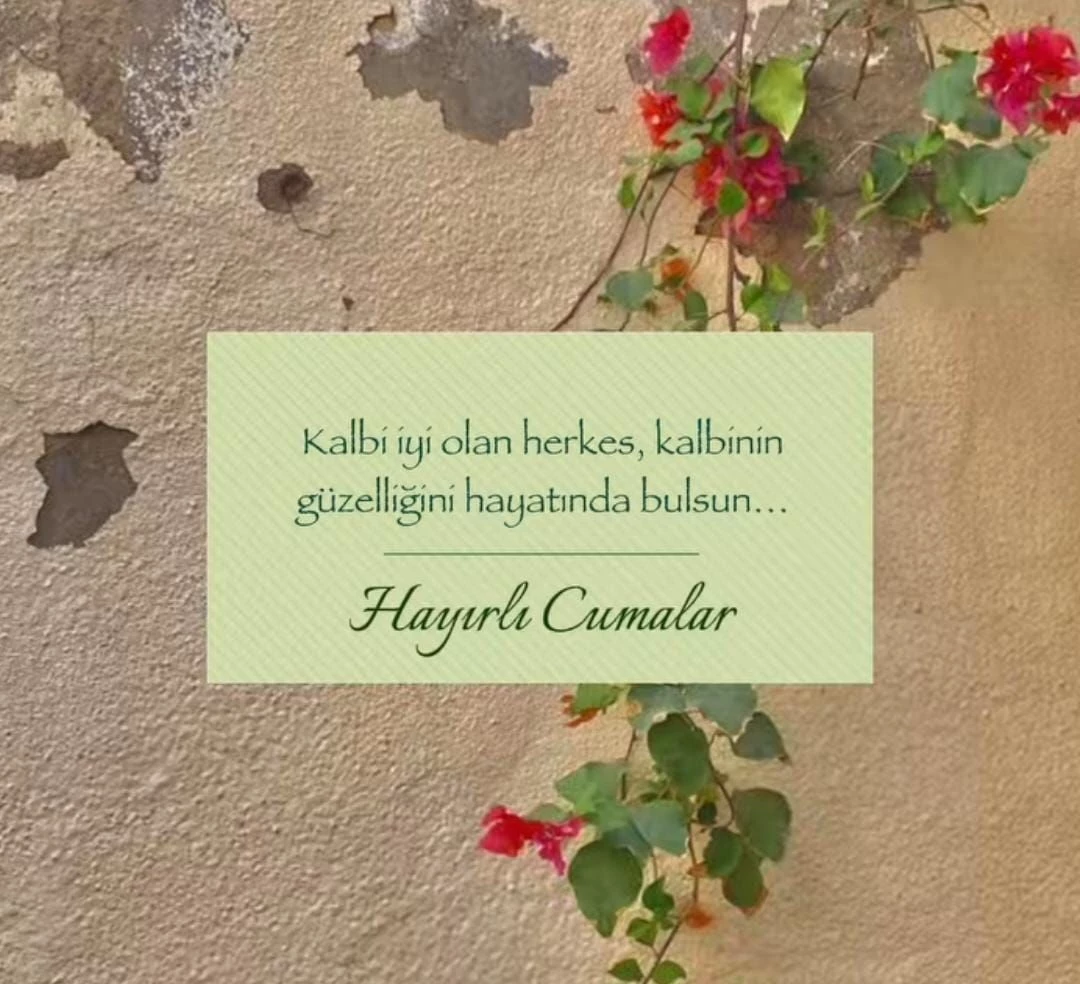 Whatsapp Gorsel 2025 08 28 Saat 16 Ahgg