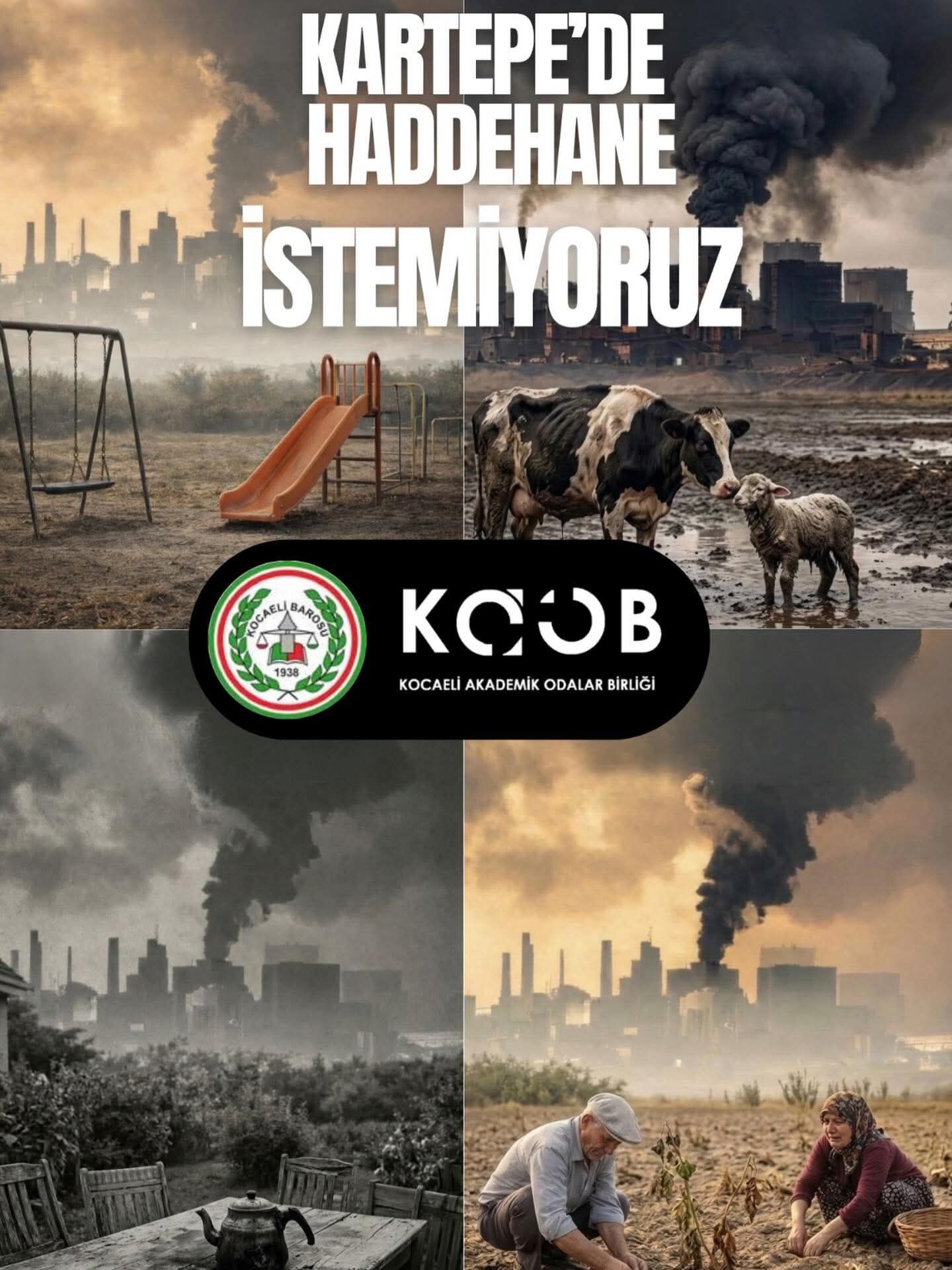 Whatsapp Image 2026 03 10 At 15.26.34