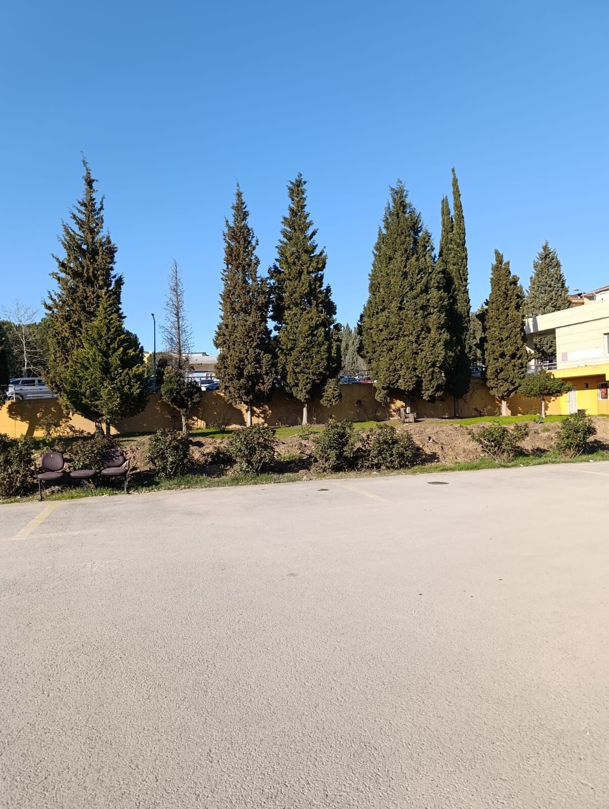 Whatsapp Image 2026 03 12 At 11.58.53