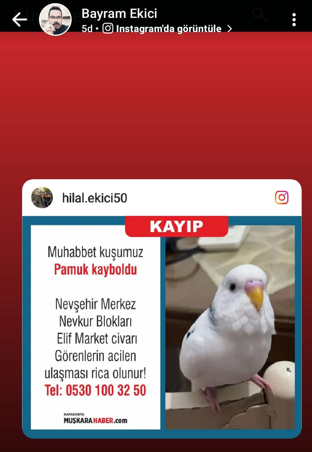 Whatsapp Image 2026 03 18 At 16.02.37 (1)