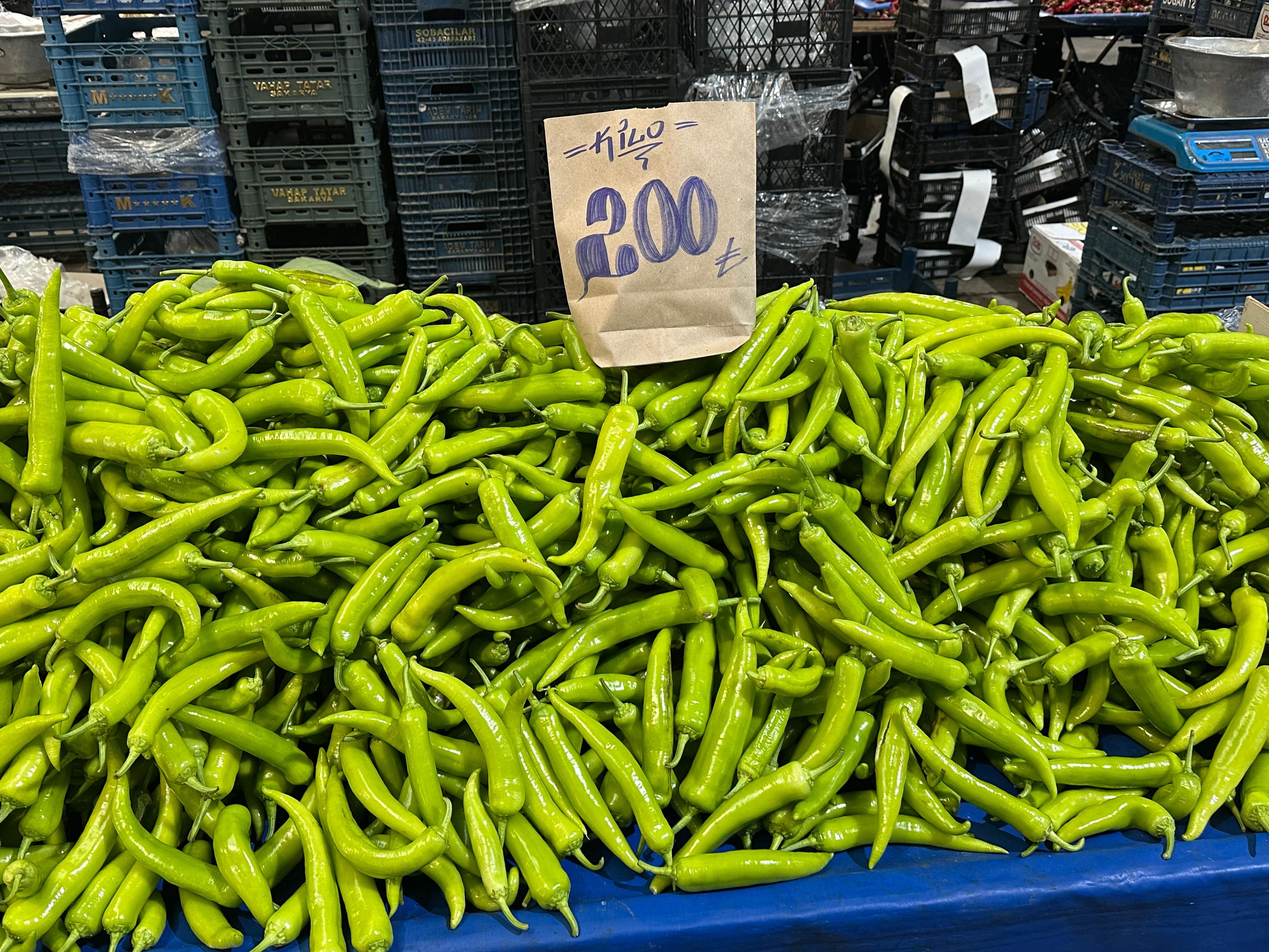 Whatsapp Image 2026 03 26 At 10.40.18