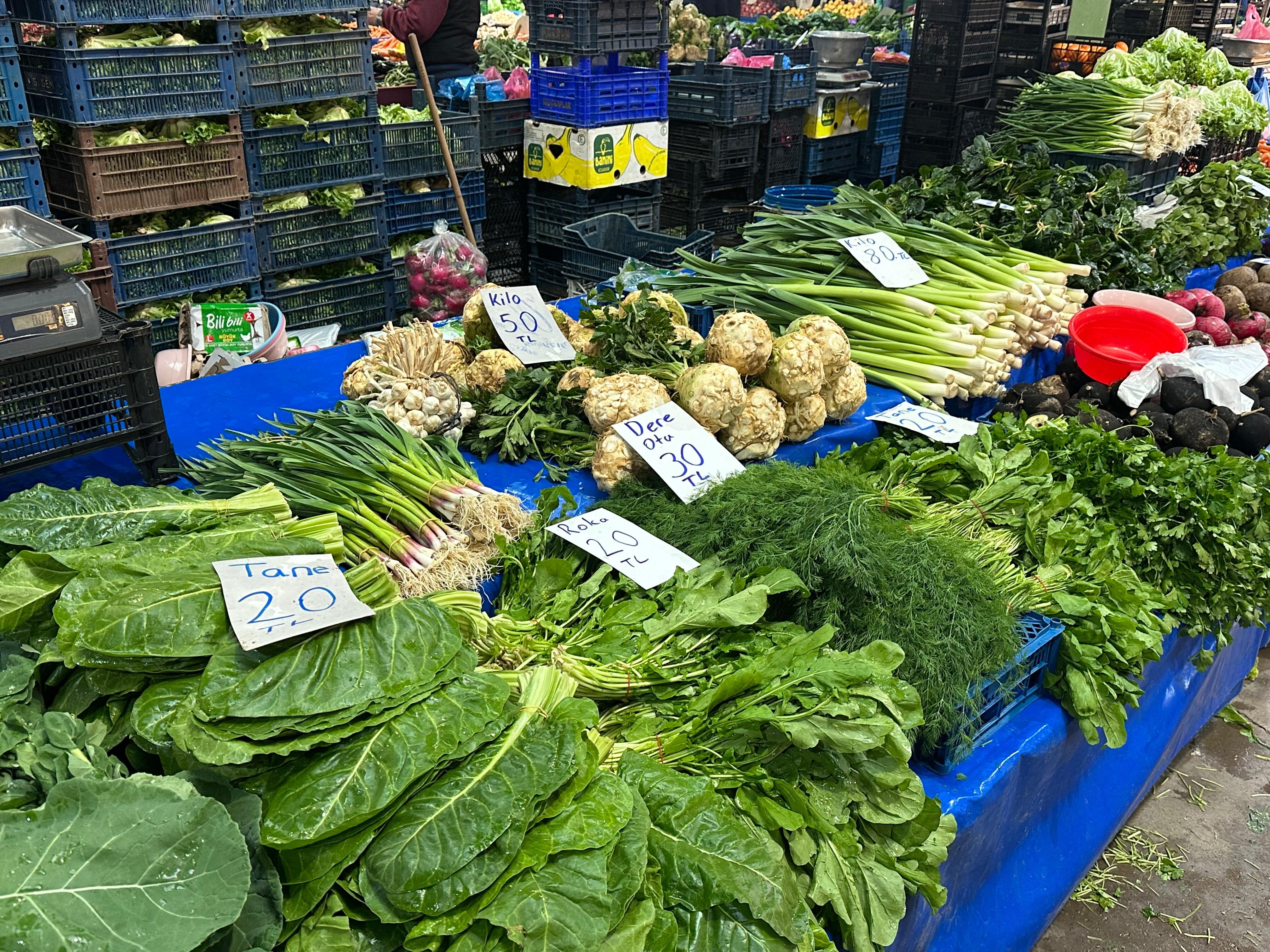 Whatsapp Image 2026 03 26 At 10.40.33 (11)