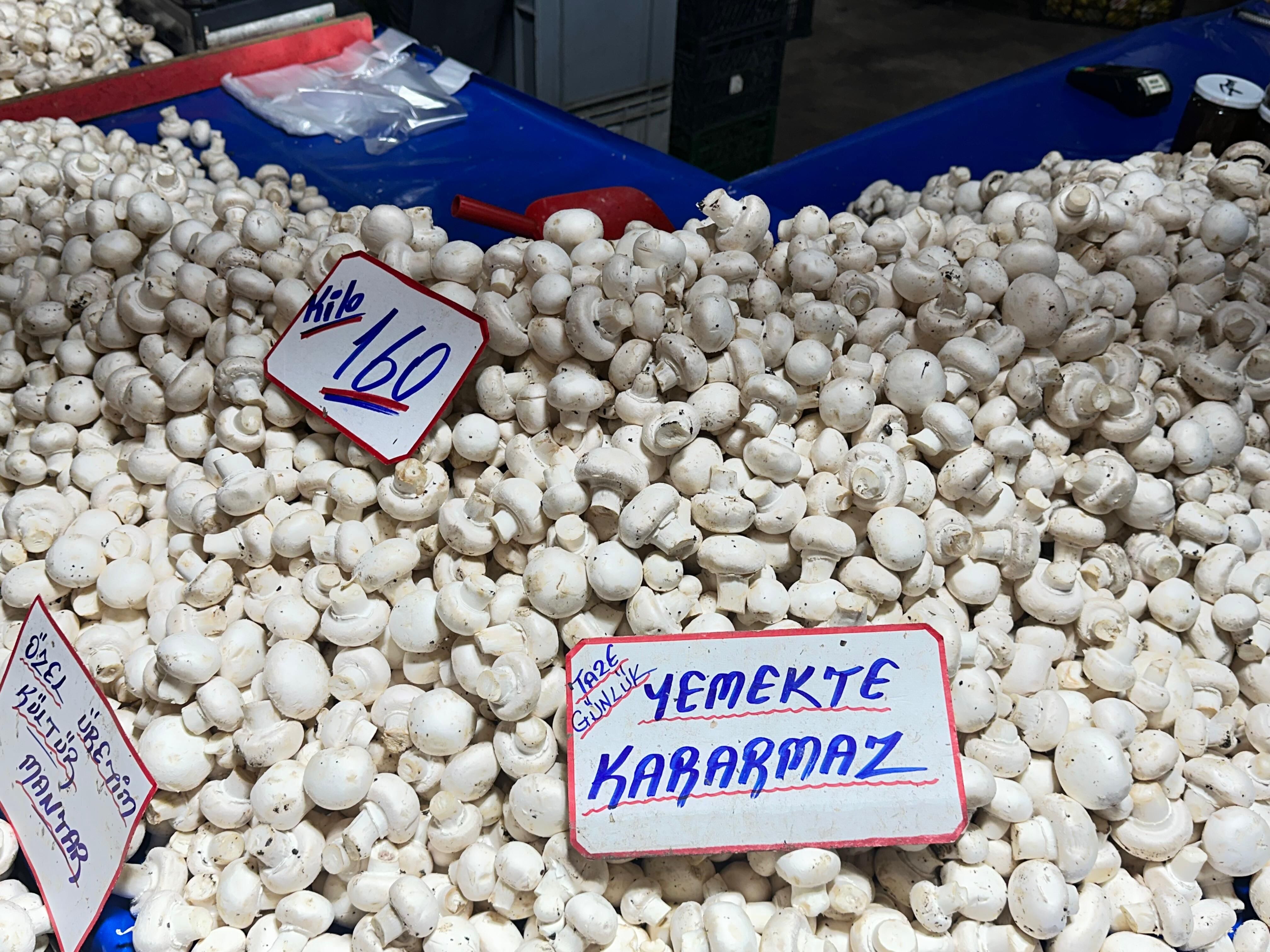 Whatsapp Image 2026 03 26 At 10.40.33 (2)