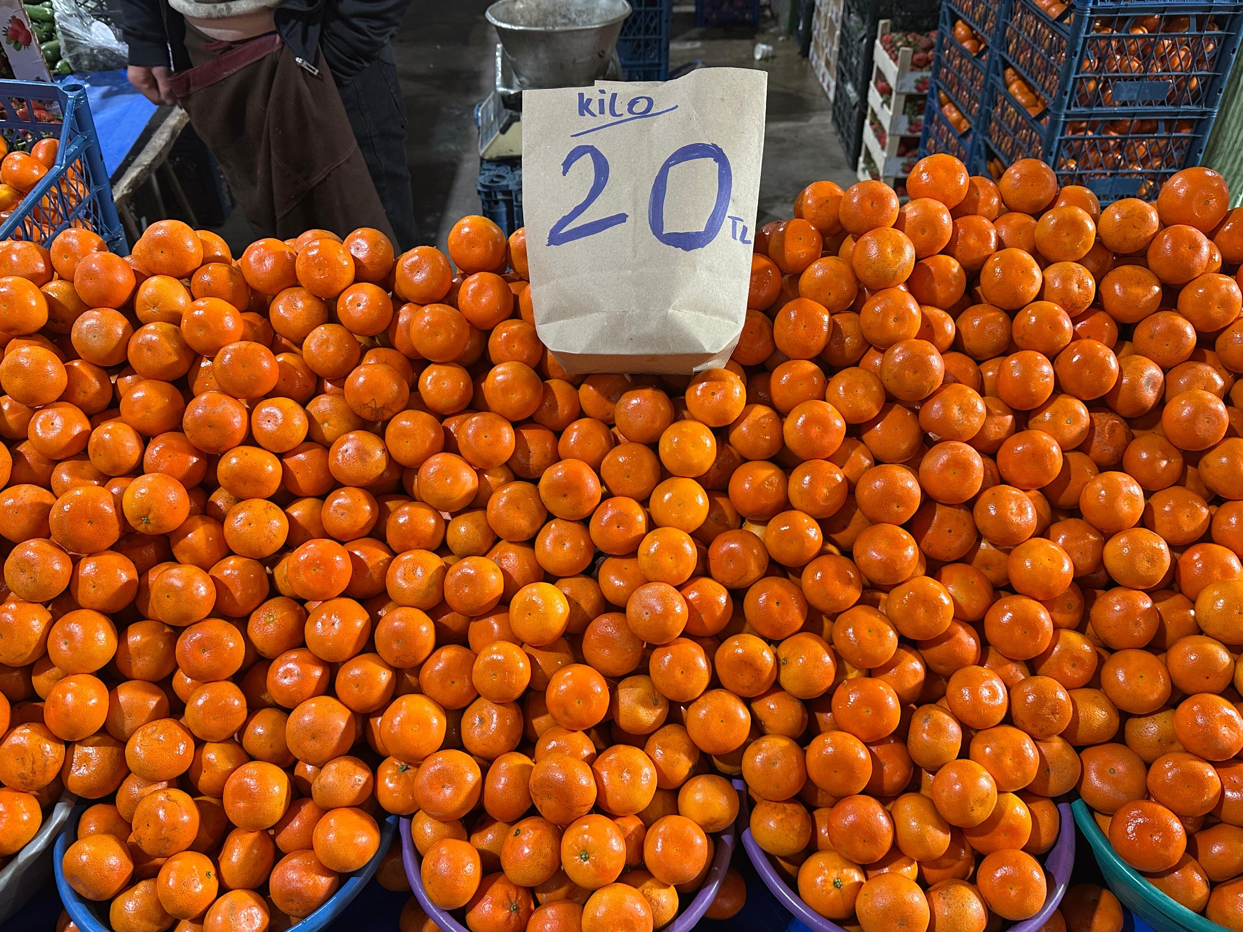 Whatsapp Image 2026 03 26 At 10.40.33 (4)