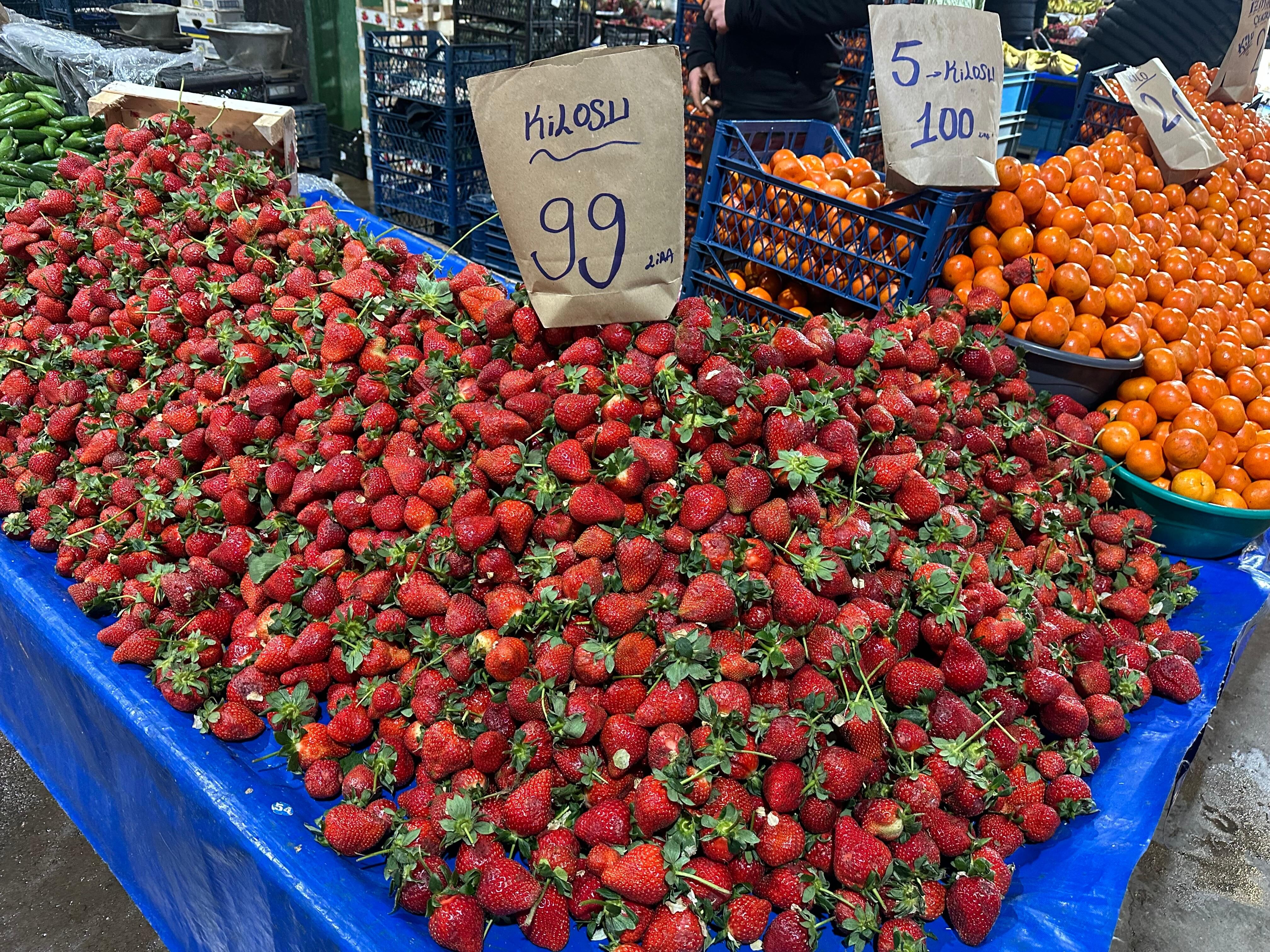 Whatsapp Image 2026 03 26 At 10.40.33 (6)