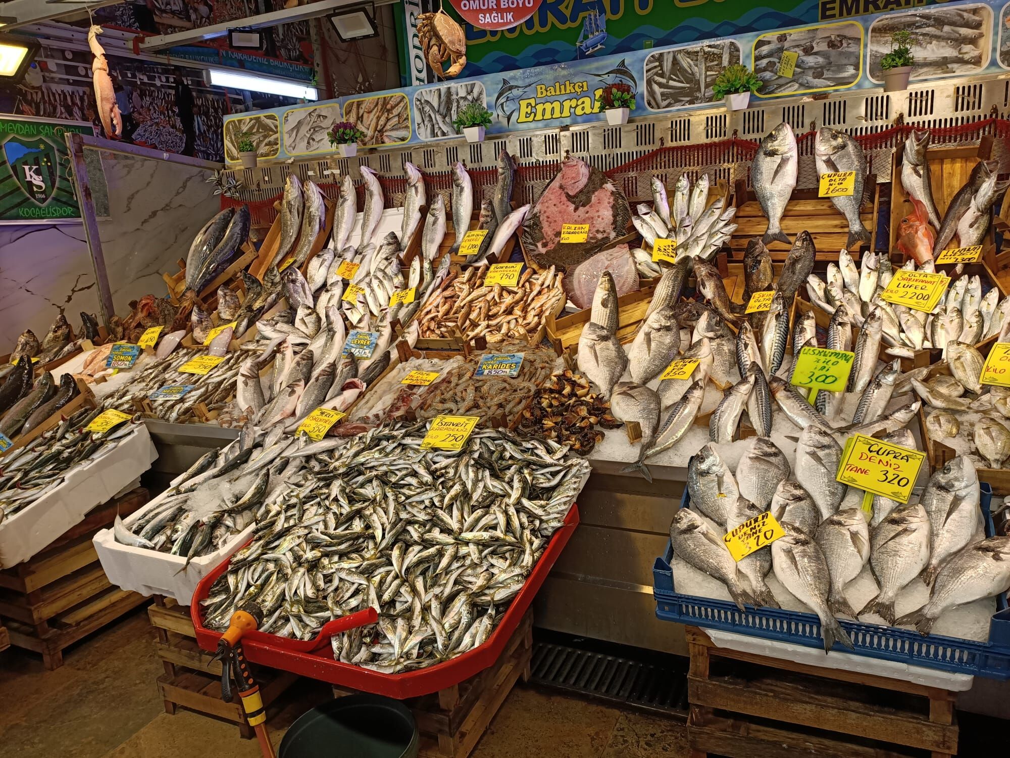 Whatsapp Image 2026 03 26 At 13.11.37