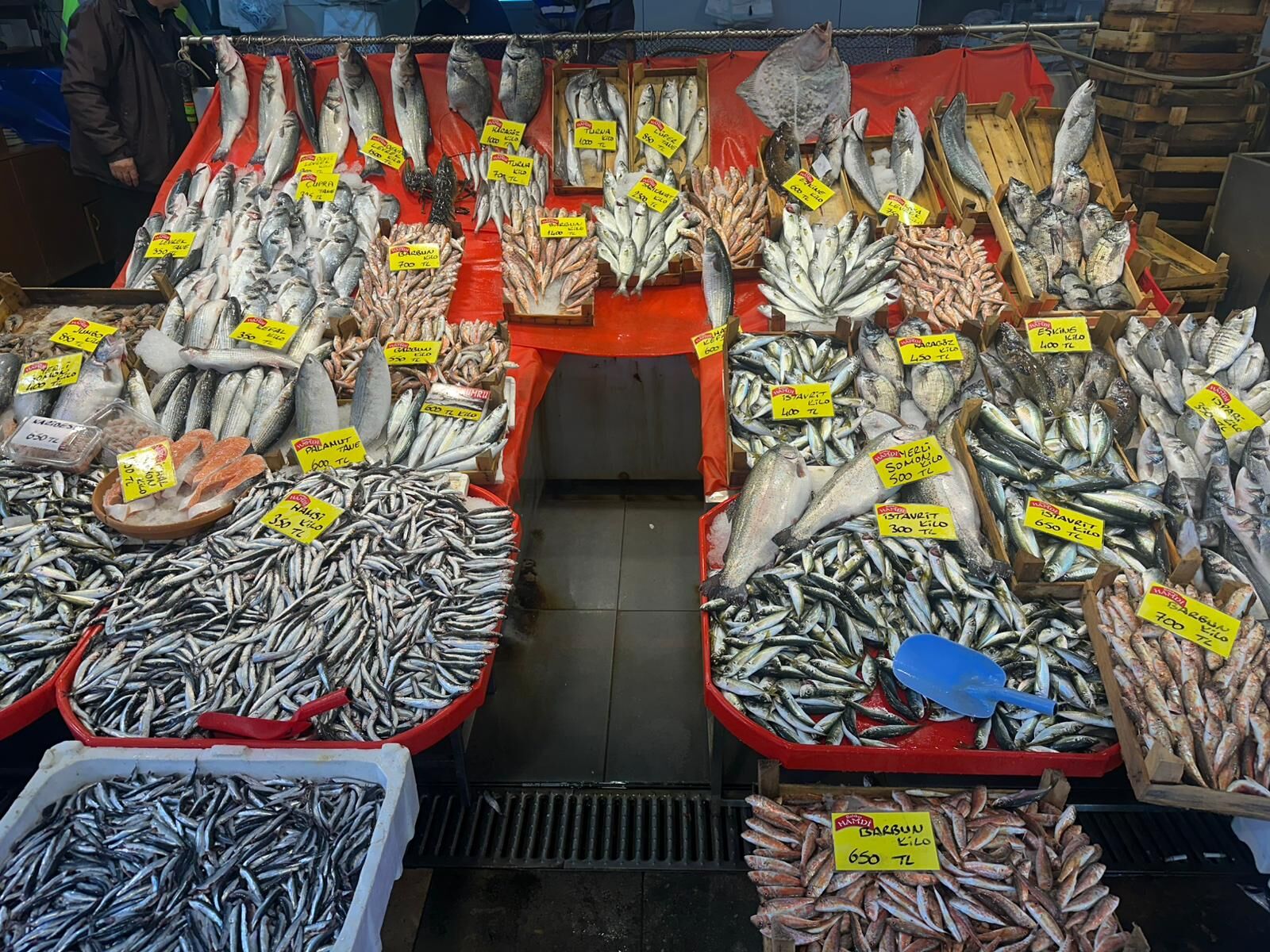 Whatsapp Image 2026 03 26 At 13.28.36 (2)