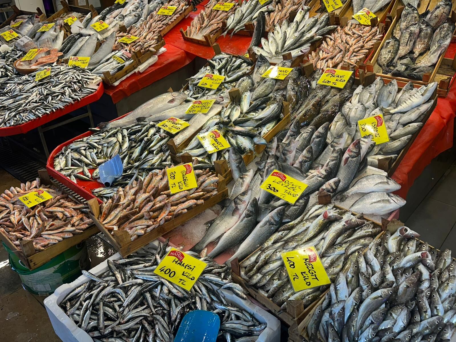 Whatsapp Image 2026 03 26 At 13.28.36