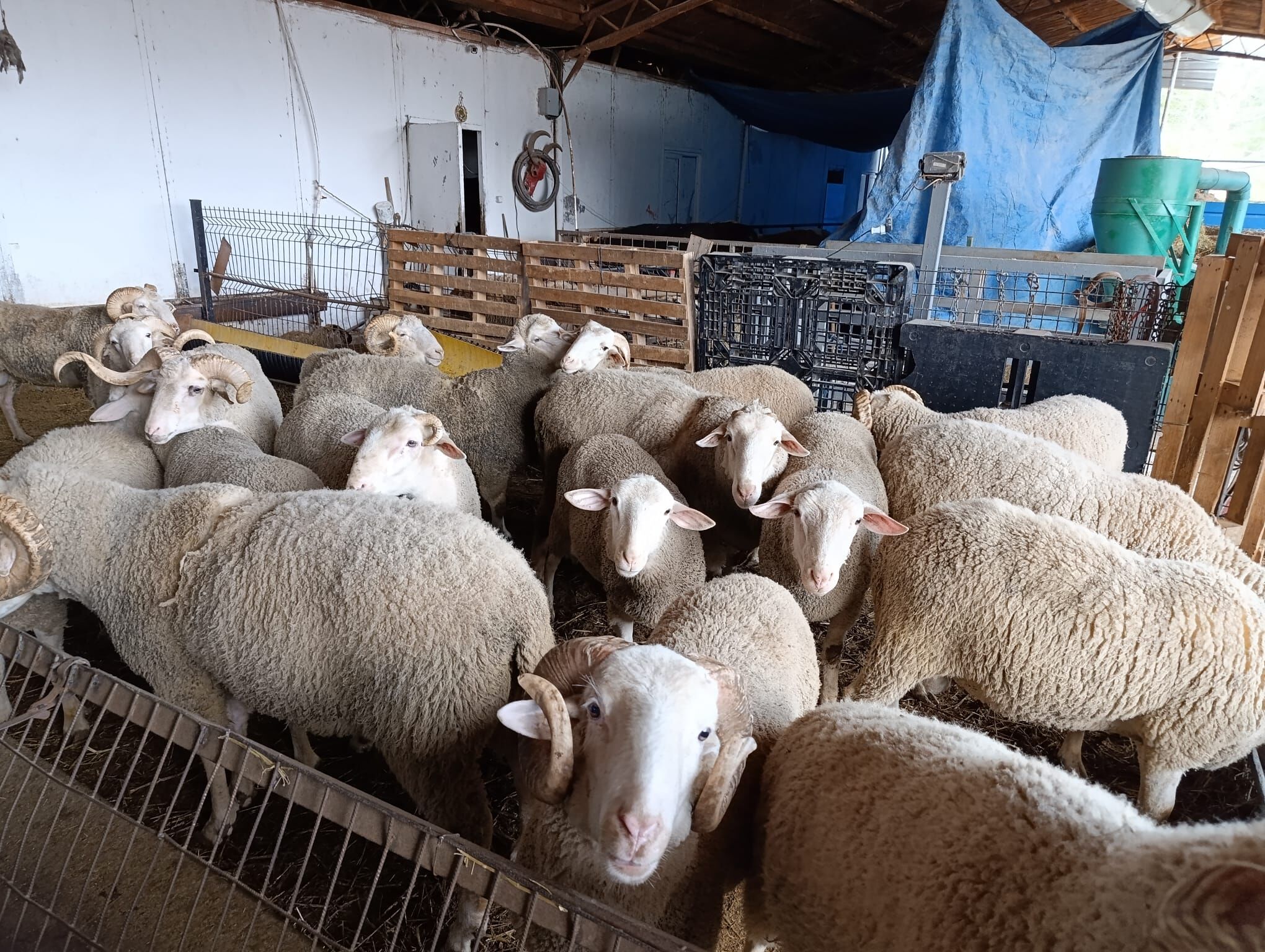 Whatsapp Image 2026 03 26 At 15.28.31