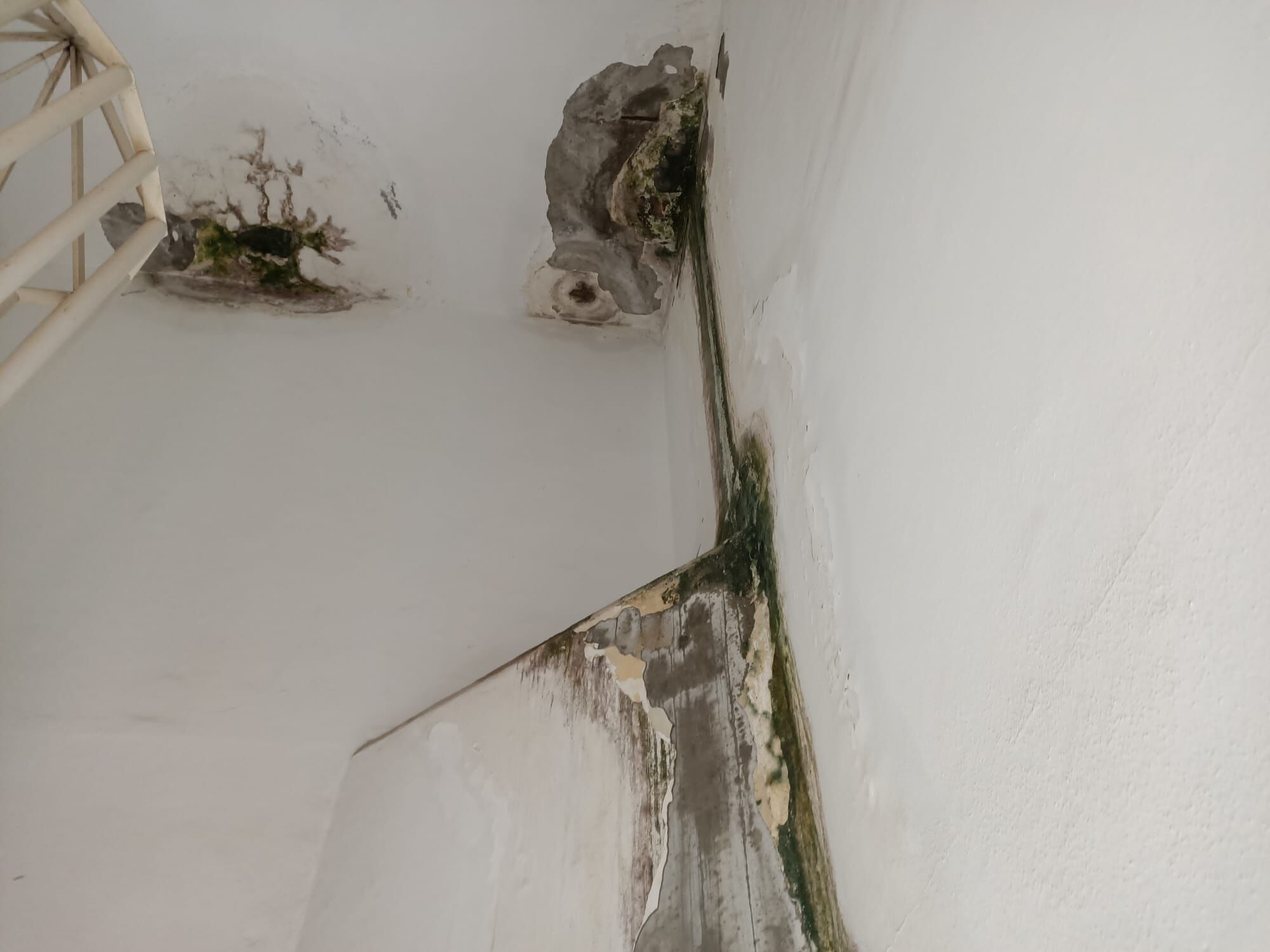 Whatsapp Image 2026 03 31 At 14.30.21