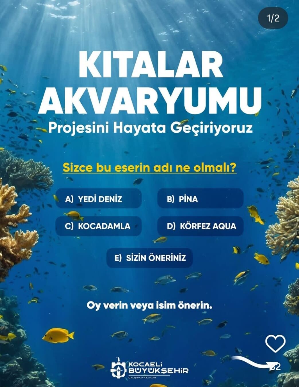 Yeni̇ Akvaryumun Adini Bi̇rli̇kte Koyalim (2)-1