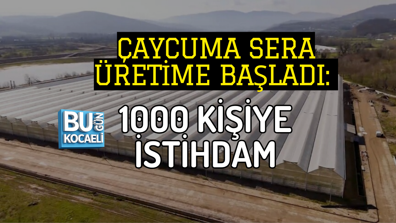 ZONGULDAK ÇAYCUMA SERAÜRETİME BAŞLADI: 1000 KİŞİYE İSTİHDAM