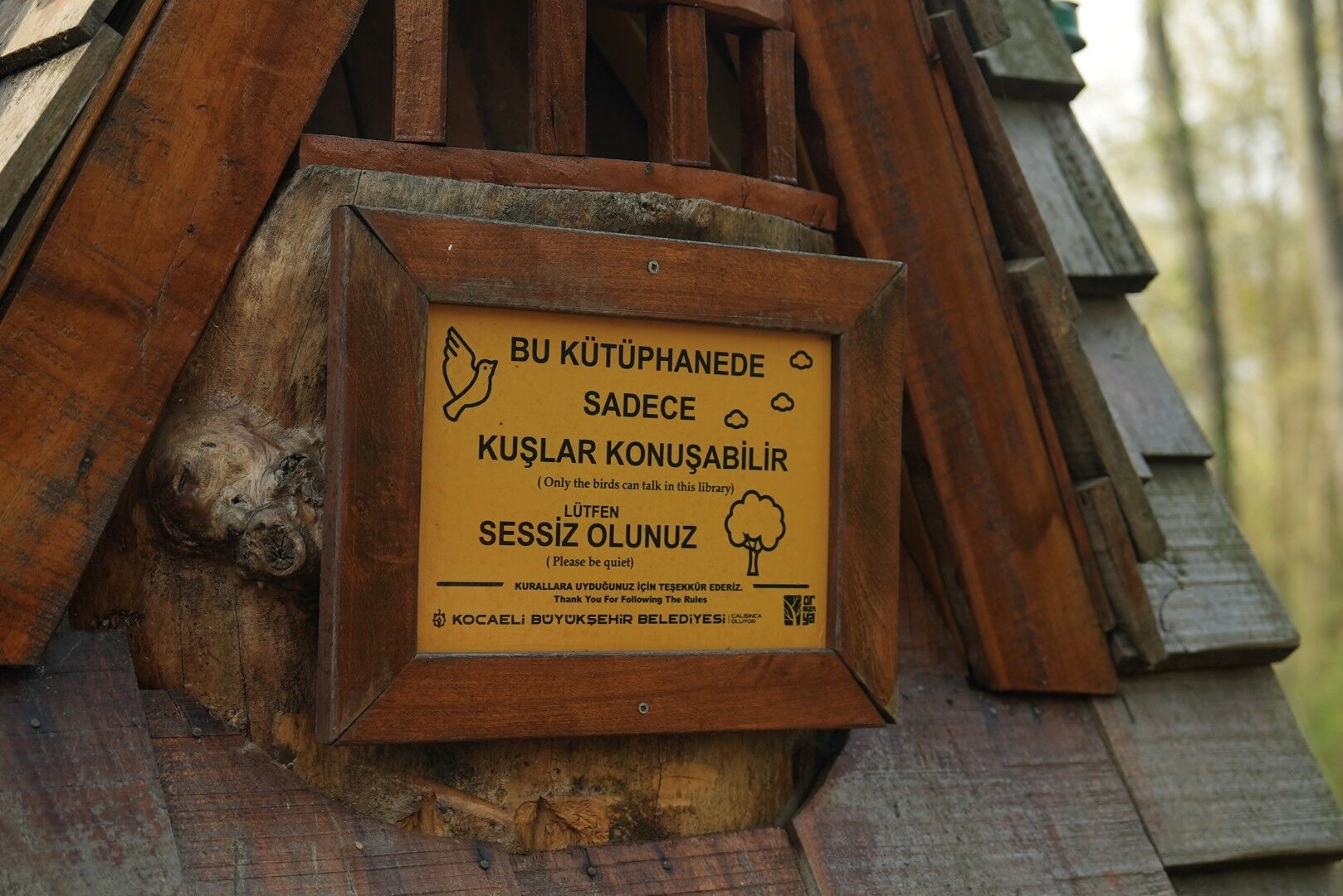 Orman Kütüphanesi'nde Okuma Keyfi Bir Başka (11)