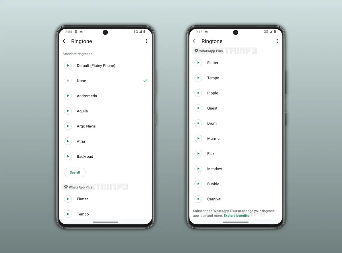 Whatsapp Plus Premium Ozellikleri Kullanicilarla Bulusuyor 6