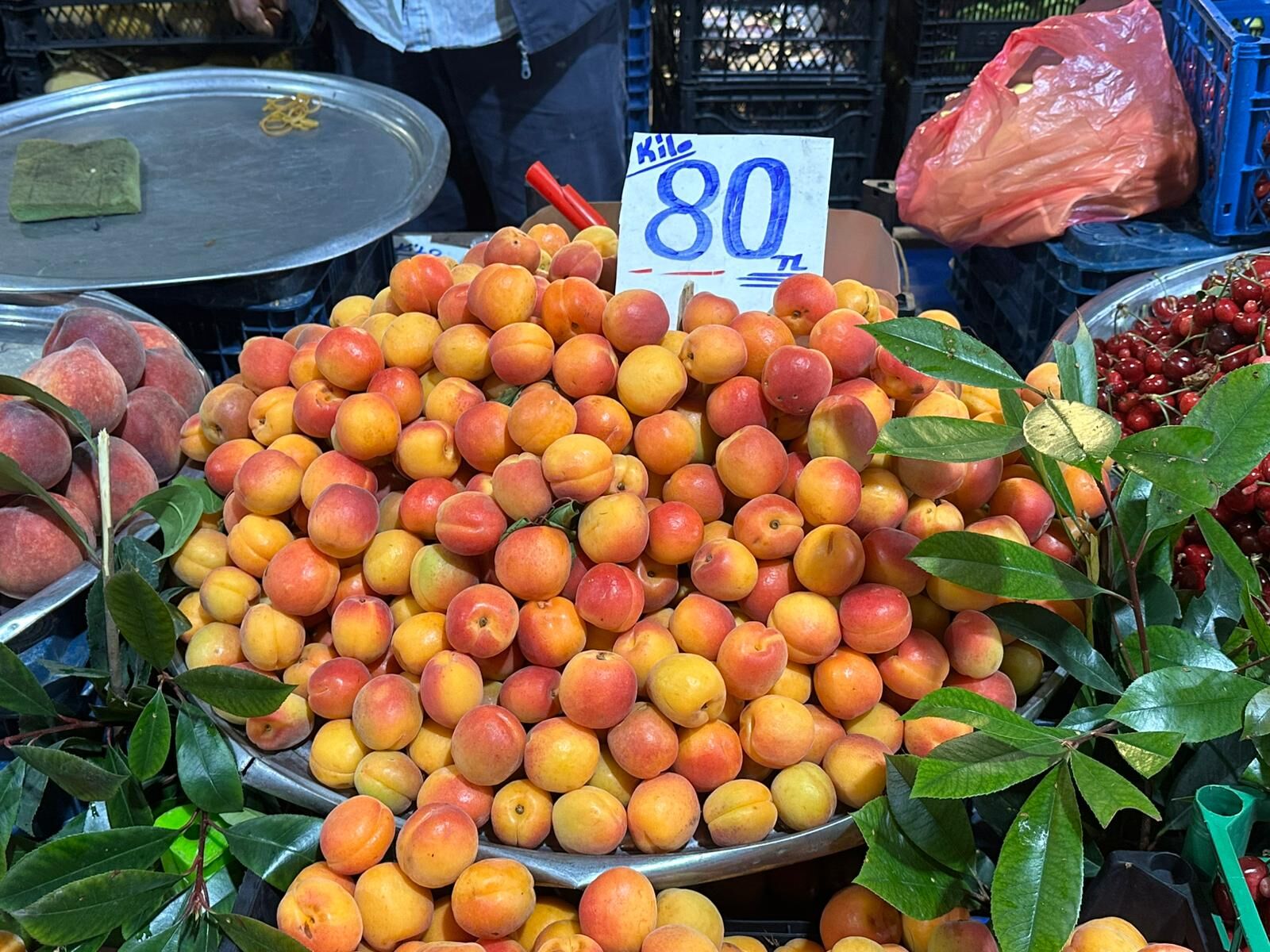 Kayısı
