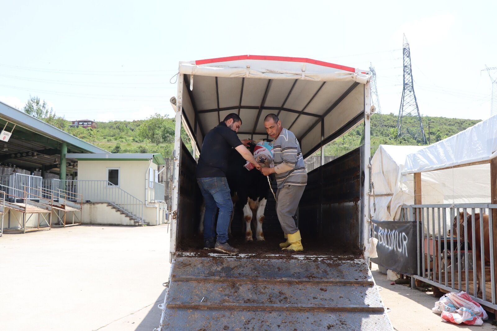 Kurbanlıklar İzmit Belediyesi Modern Hayvan Pazarı’nda Yerini Alıyor (3)