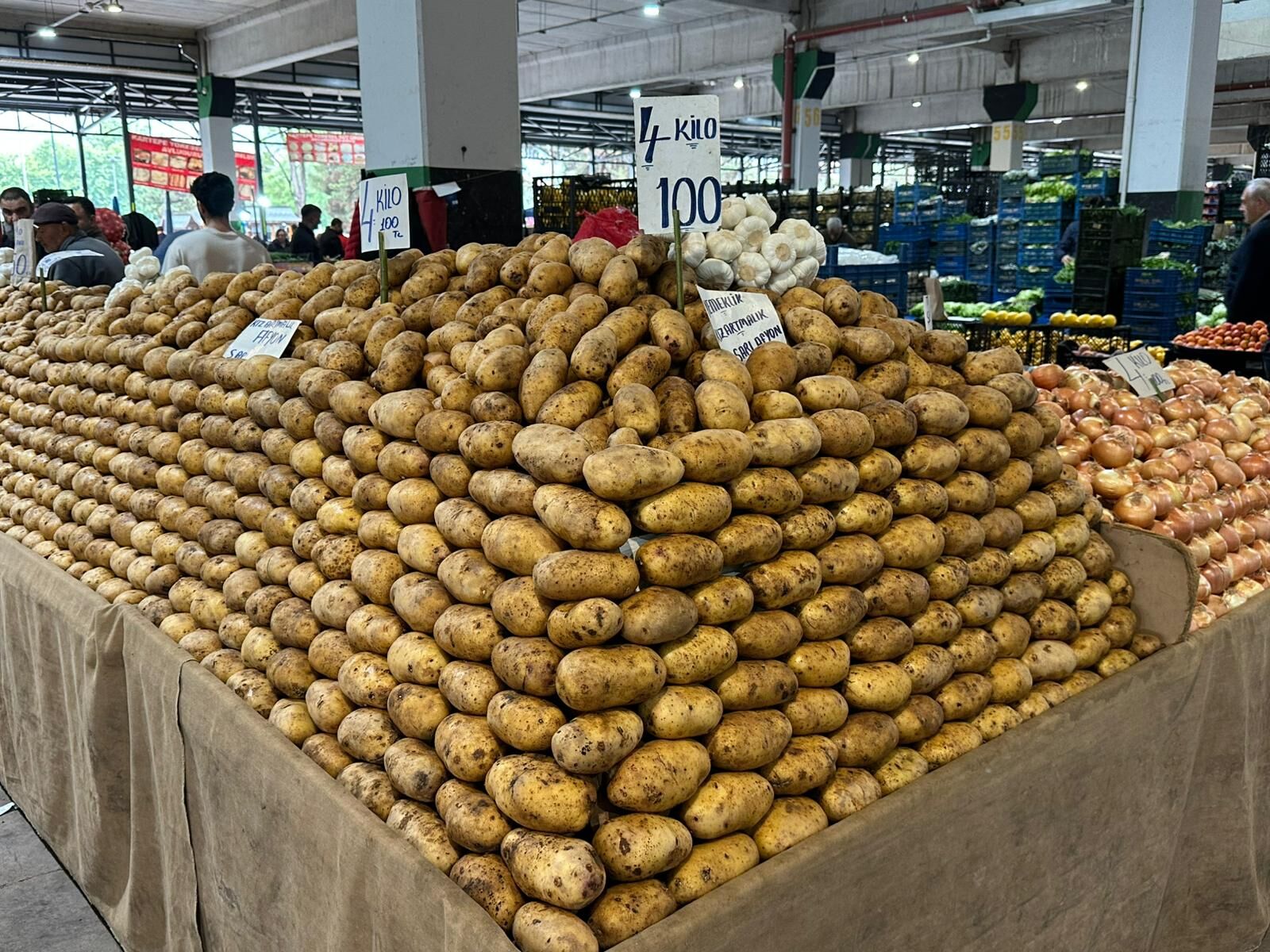 Patates-1