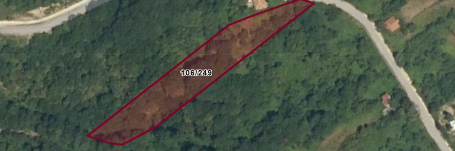 106249