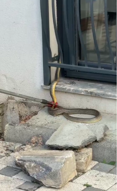 Ekran Görüntüsü 2026 06 15 095438