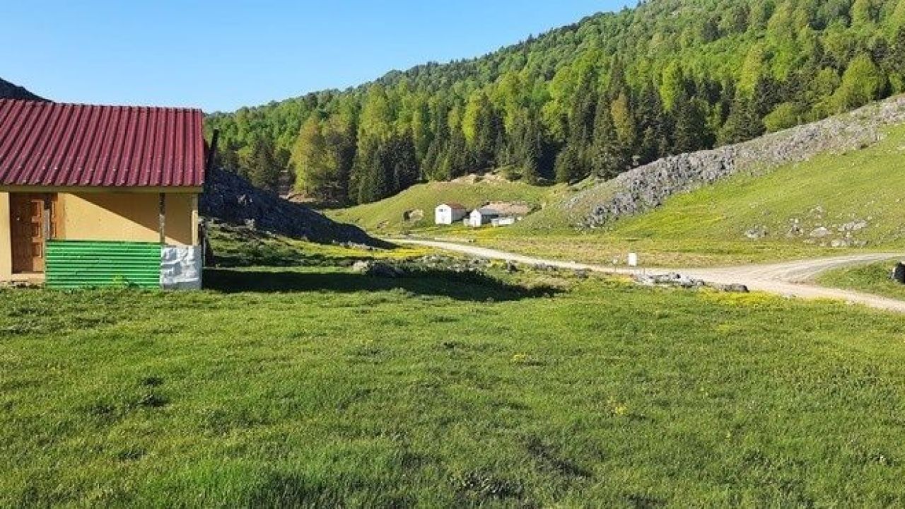 Ercova Yaylasi Kamp Alani 1Kocaeligazetesi 1779143123