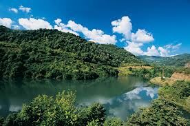 Images (11)-2