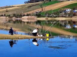 Images (15)-2