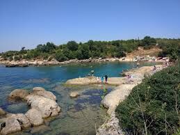 Images (21)-1