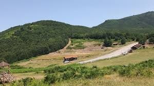 Images (24)