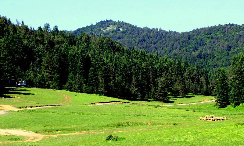 Inonu Yaylasi
