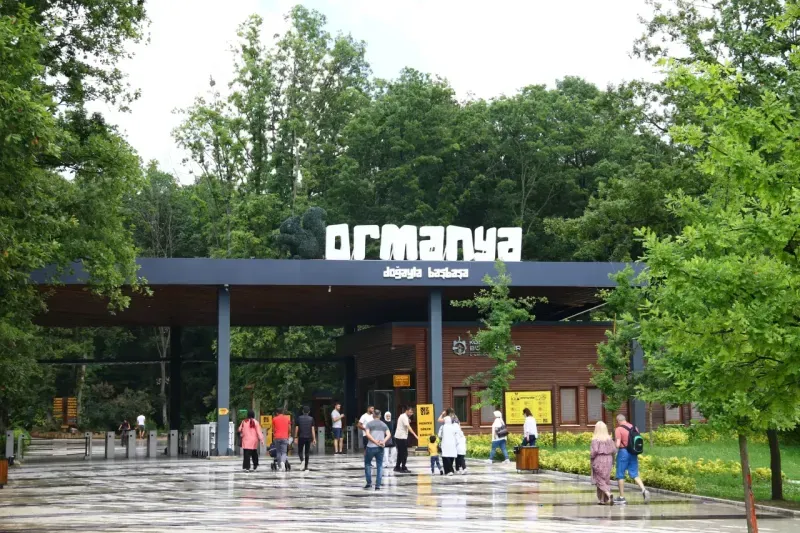 Kocaelinin Nefes Kesici Dogasi Ormanya Dogal Yasam Parki-1