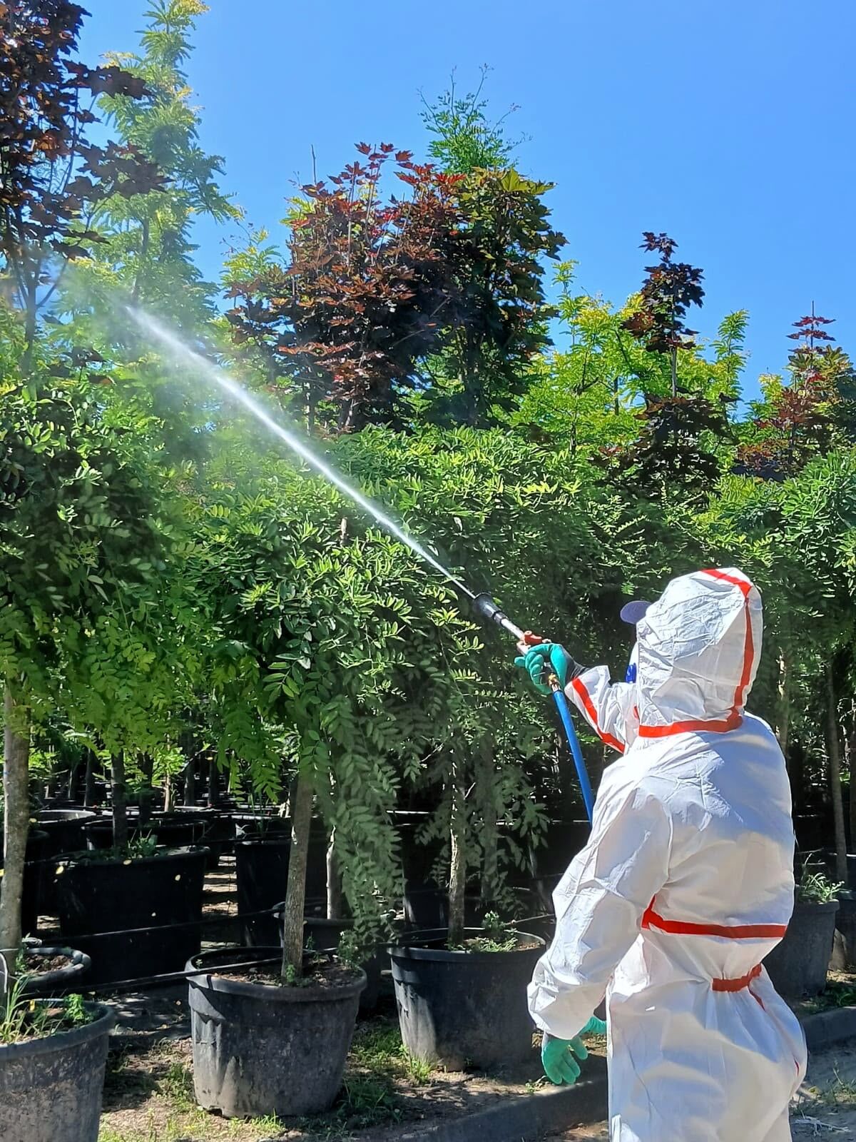 Kocaeli’nin Yeşil Geleceğine Koruyucu Dokunuş (1)