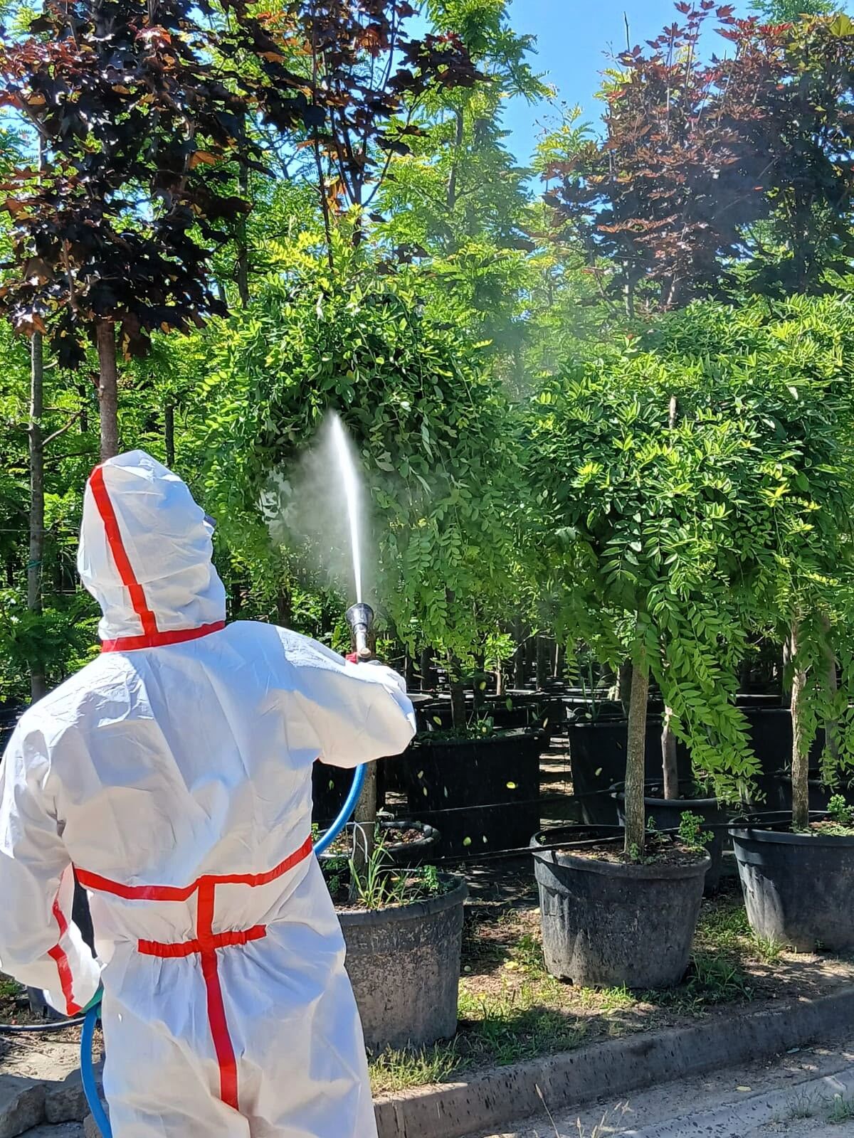 Kocaeli’nin Yeşil Geleceğine Koruyucu Dokunuş (2)