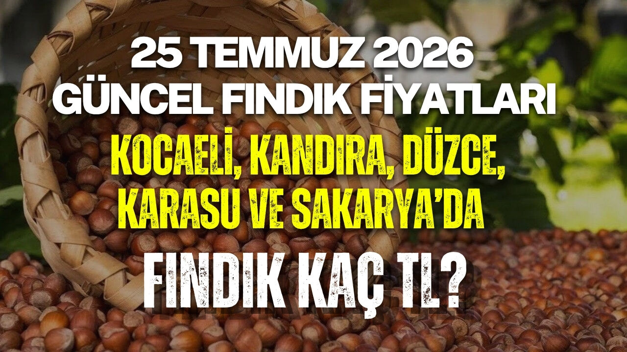 Kocaeli