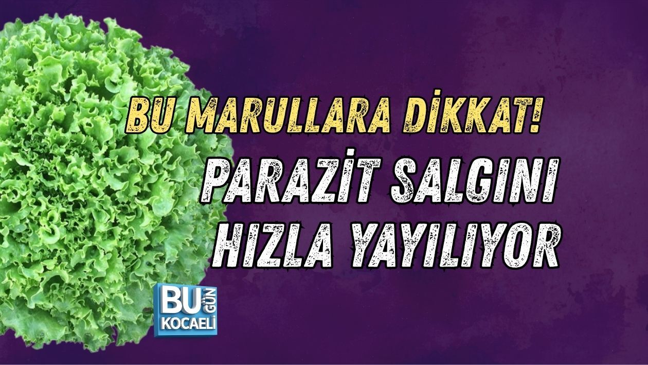 Sağlık