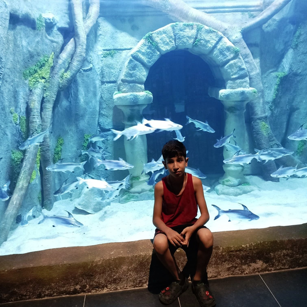 Ekran Görüntüsü 2026 07 16 180436