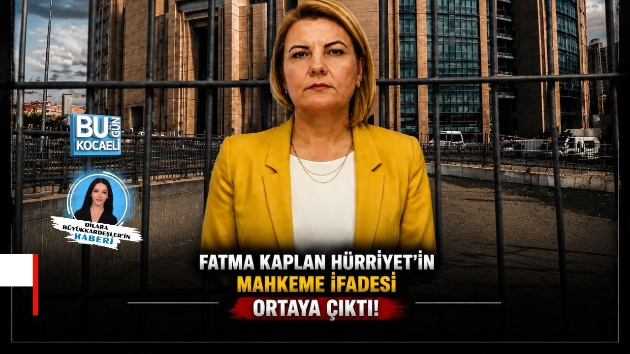 Siyaset