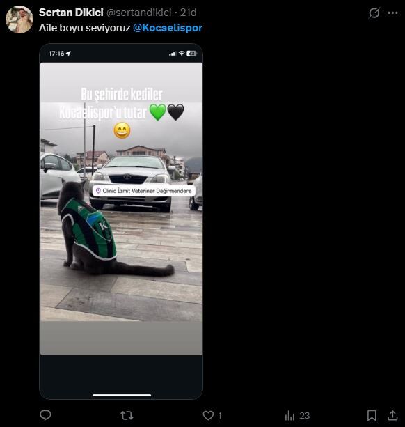Kediler Kocaelispor