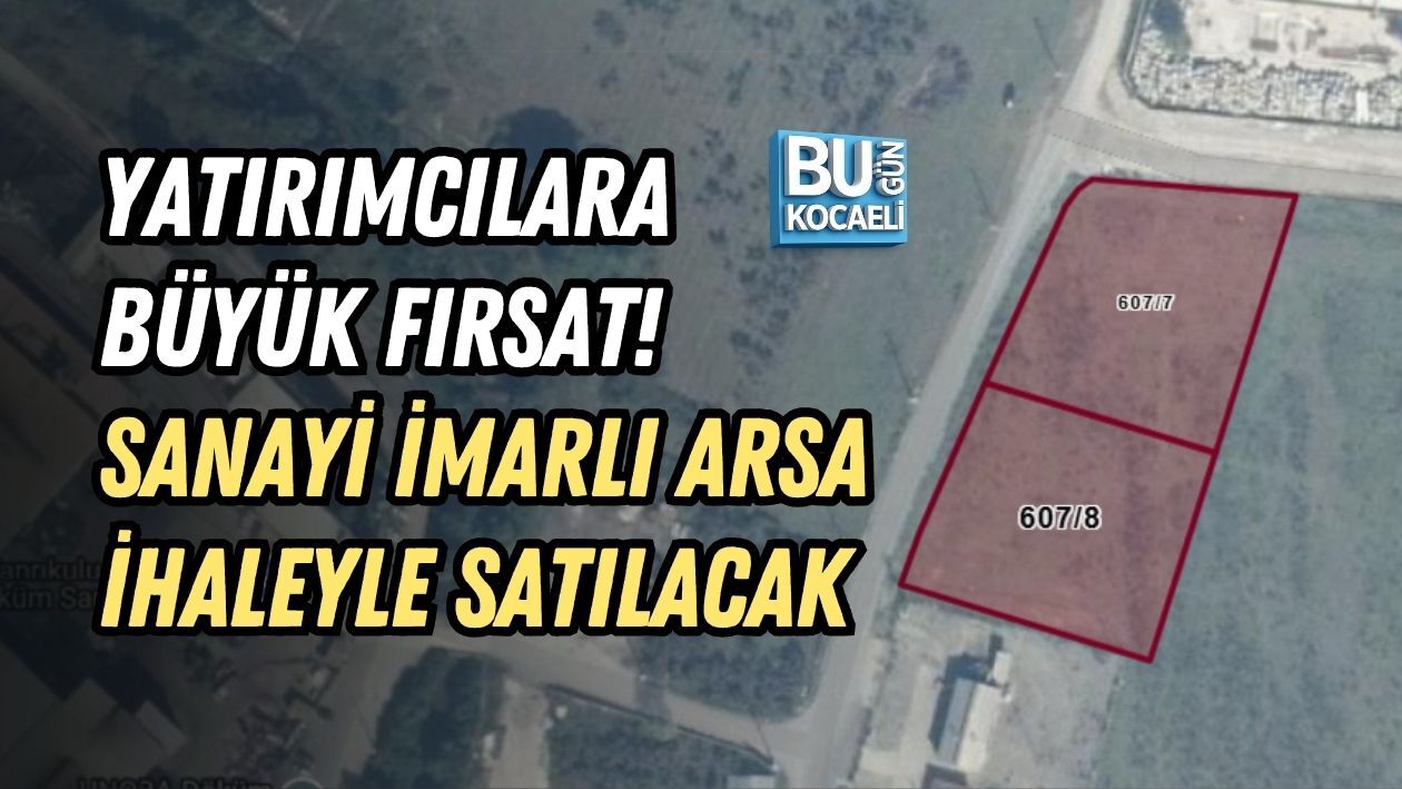 Diğer