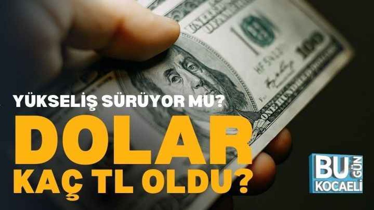 Kocaeli Haber - Dolar fiyatları bugün ne kadar? Euro kaç TL?